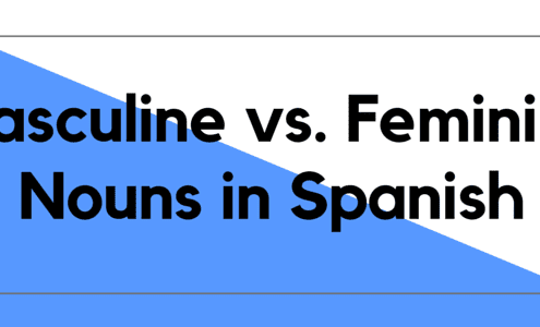 spanish feminine masculine nouns slang yourself words test