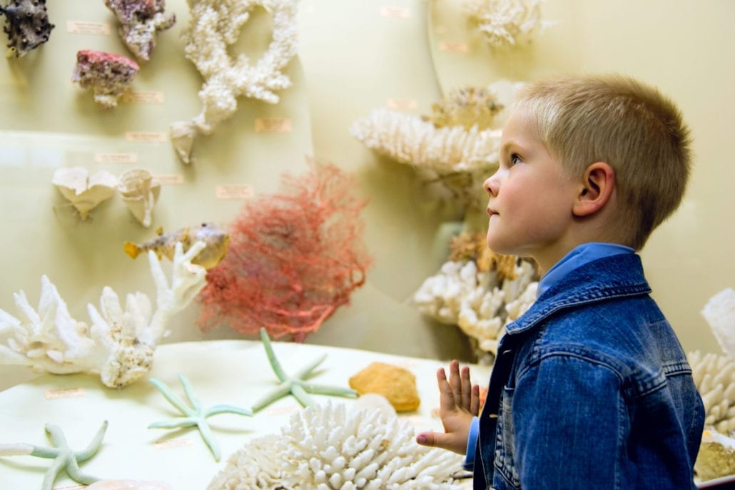 Add a museum visit to your daily homeschool schedule