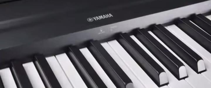 Digital Piano Reviews: 8 Best Keyboards for Piano Players (2021)