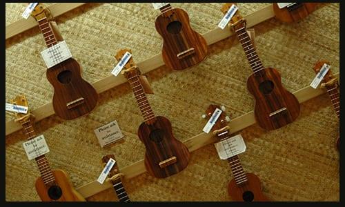 Types of Ukuleles: The Ultimate Buyer's Guide