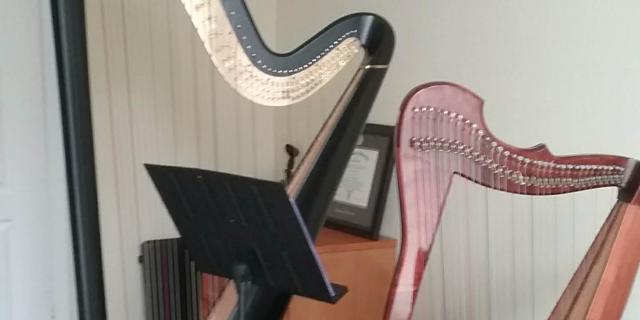 Meet the Harp! - Harp Class