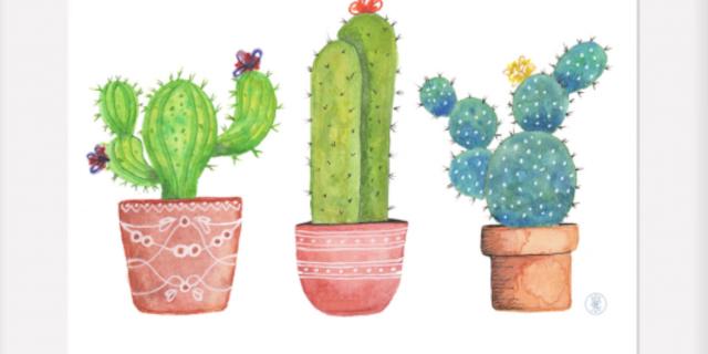 Learn to Paint Cacti in Pots using Watercolors - Arts Class