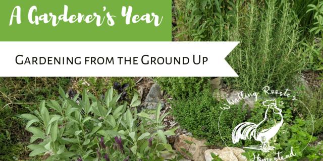 Grow Your Own: A Gardener's Year (Part I of XIII) - STEM Class