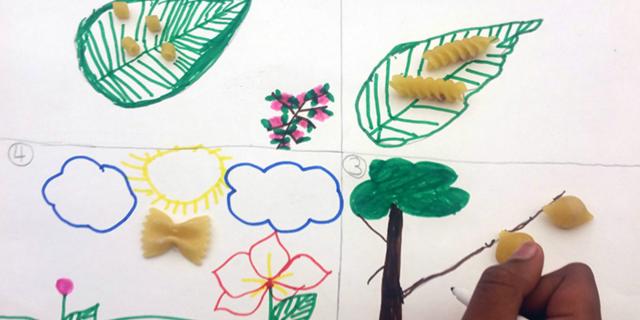 Beautiful Rainforest  (Biomes - Lesson 3) - STEM Class