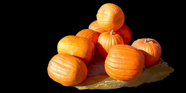 Pumpkin Cycle - STEM Class