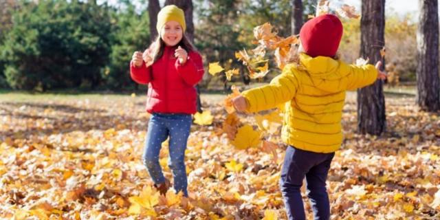 ASL Autumn Signs- for Ages 8-10 - American Sign Language Class
