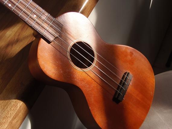 Practice Playing Songs with 4 Common Chords - Ukulele Class