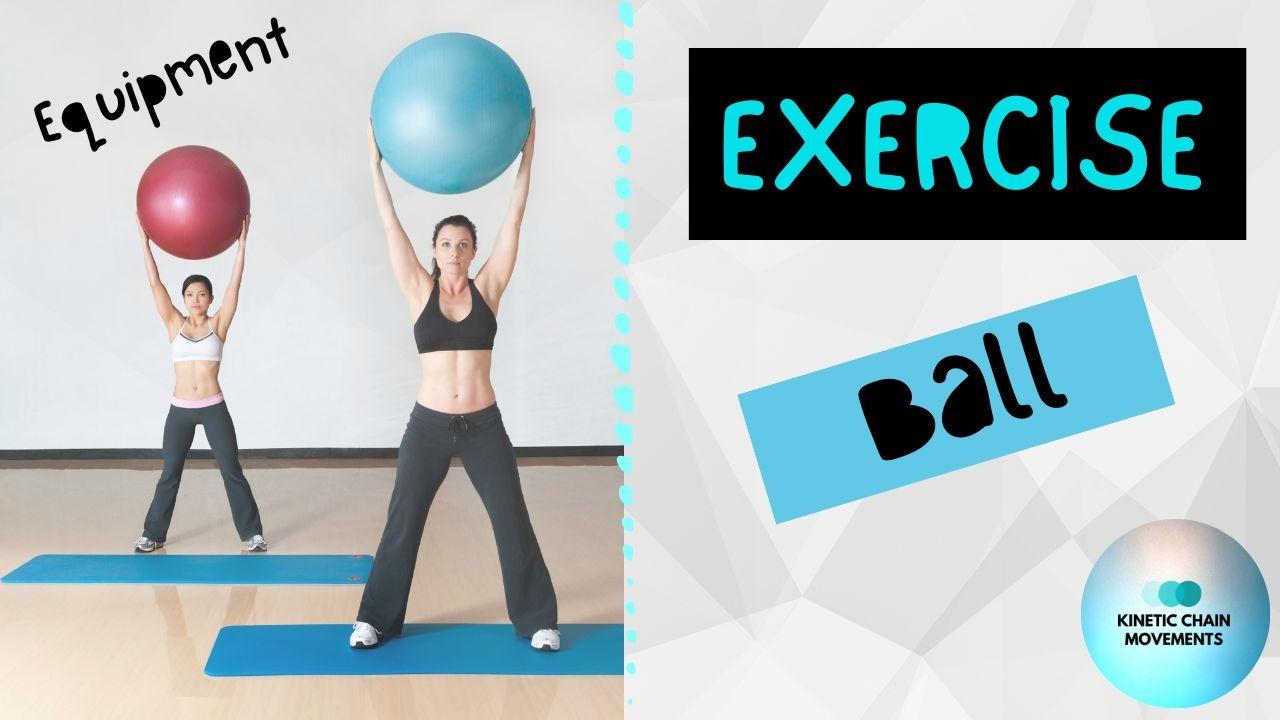 Exercise Demo's- Beginner Exercise / Swiss Ball