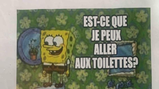 Talk about undersea animals in French with SpongeBob!