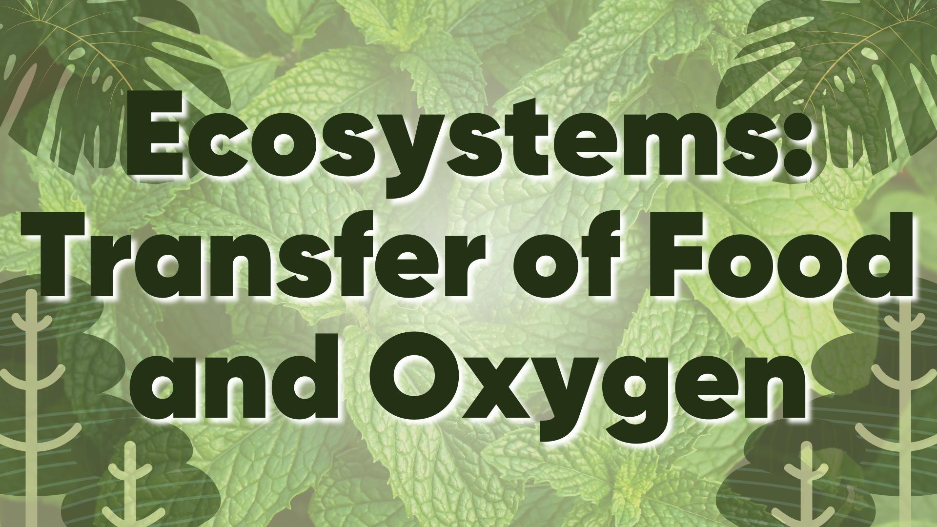 Food and Oxygen in Ecosystems