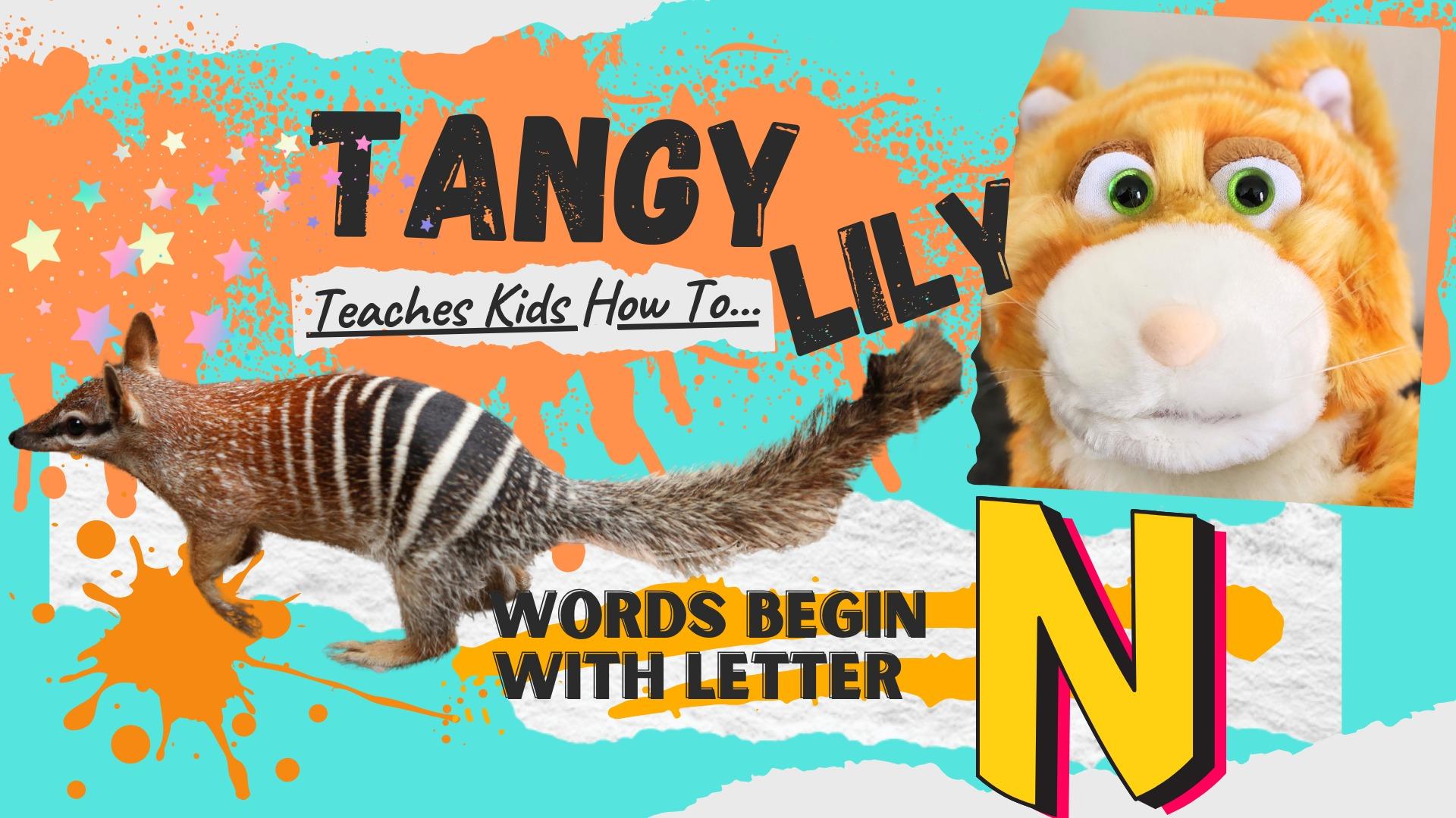 What Words Start With The Letter N? Real Life Animals and Objects