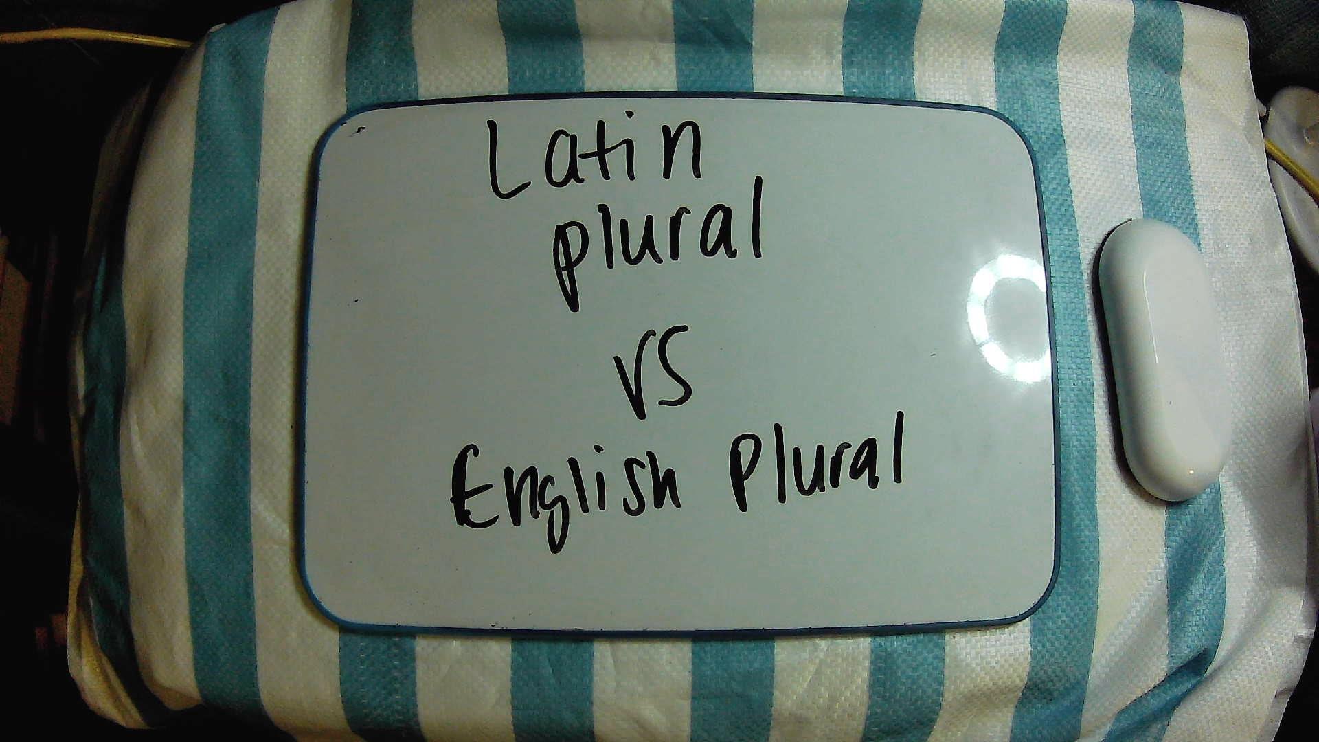 Latin Plural Spelling vs English Plural Spelling