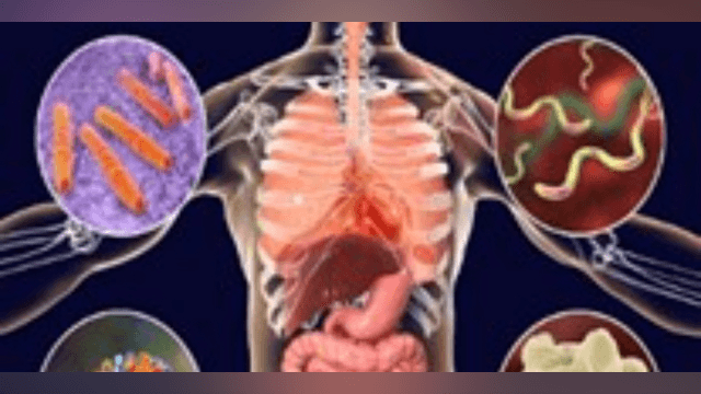 VIDEO-4: Normal vs. Pathogenic Microbes in the Body 