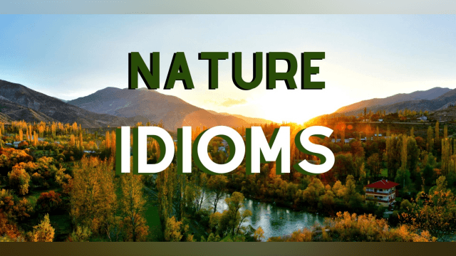 Nature Idioms