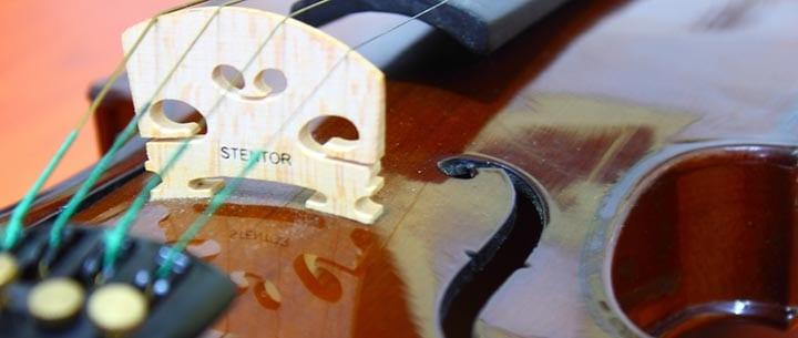 https://takelessons.com/blog/2014/03/what-are-the-best-violin-brands-for-beginners