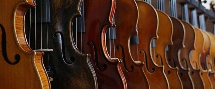 What Are the Different Parts of a Violin? [Infographic]