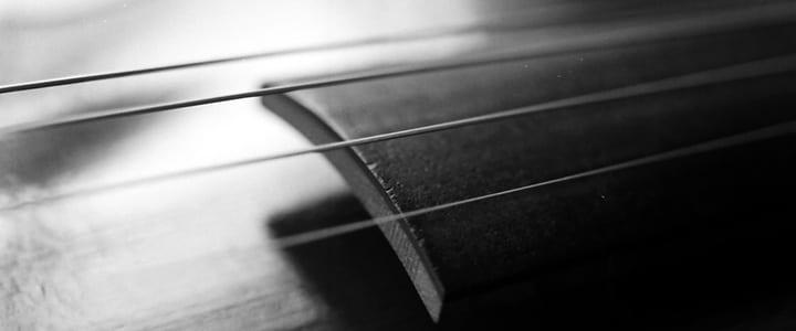 https://takelessons.com/blog/2015/06/the-ultimate-guide-to-choosing-the-best-violin-strings