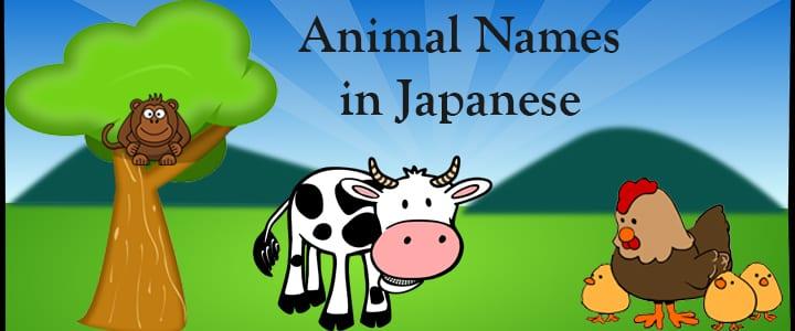 https://takelessons.com/blog/animals-in-japanese-z05