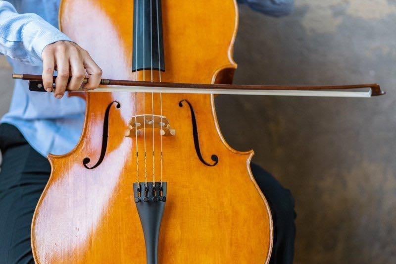 Cello Vs. Bass: What's the Difference?