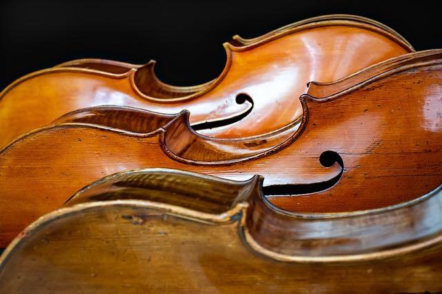 https://takelessons.com/blog/2021/02/what-are-the-names-of-the-cellos-parts-a-closer-look