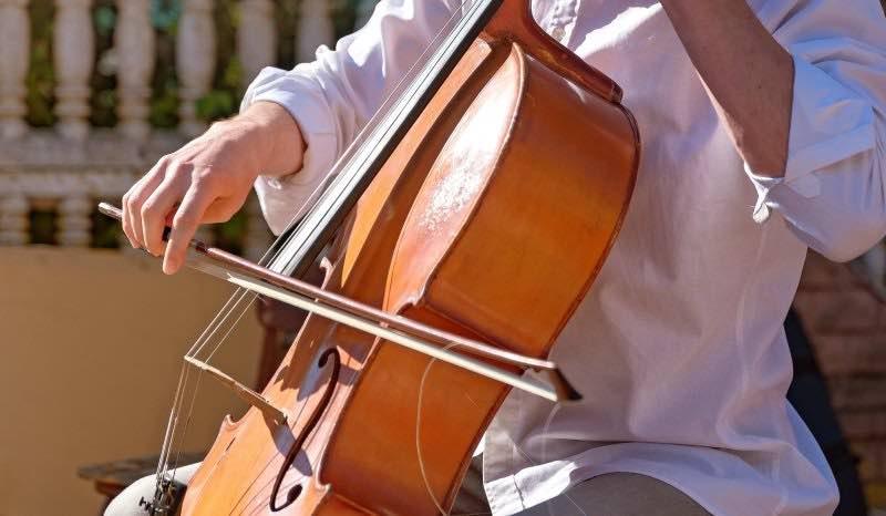 Is There Such a Thing as a Left-Handed Cello? How to Play as a Leftie