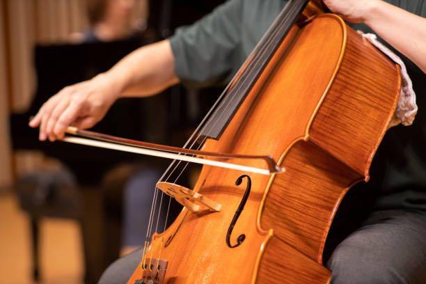 https://takelessons.com/blog/2021/02/cello-thumb-position-where-to-place-your-fingers-hands