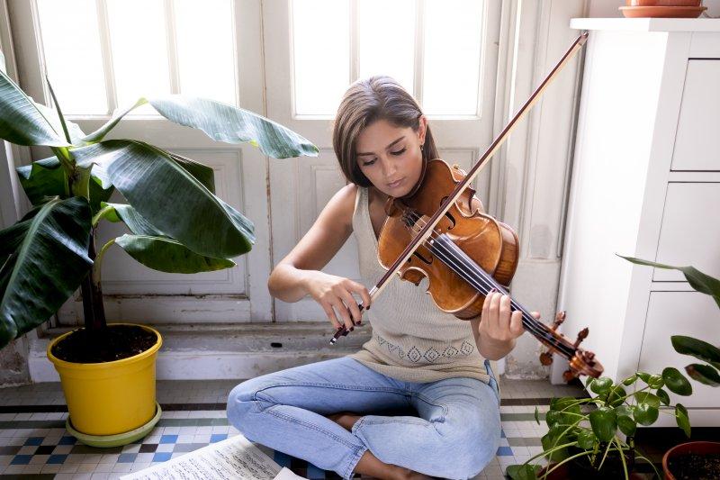 Viola Vs. Violin: What's the Difference?