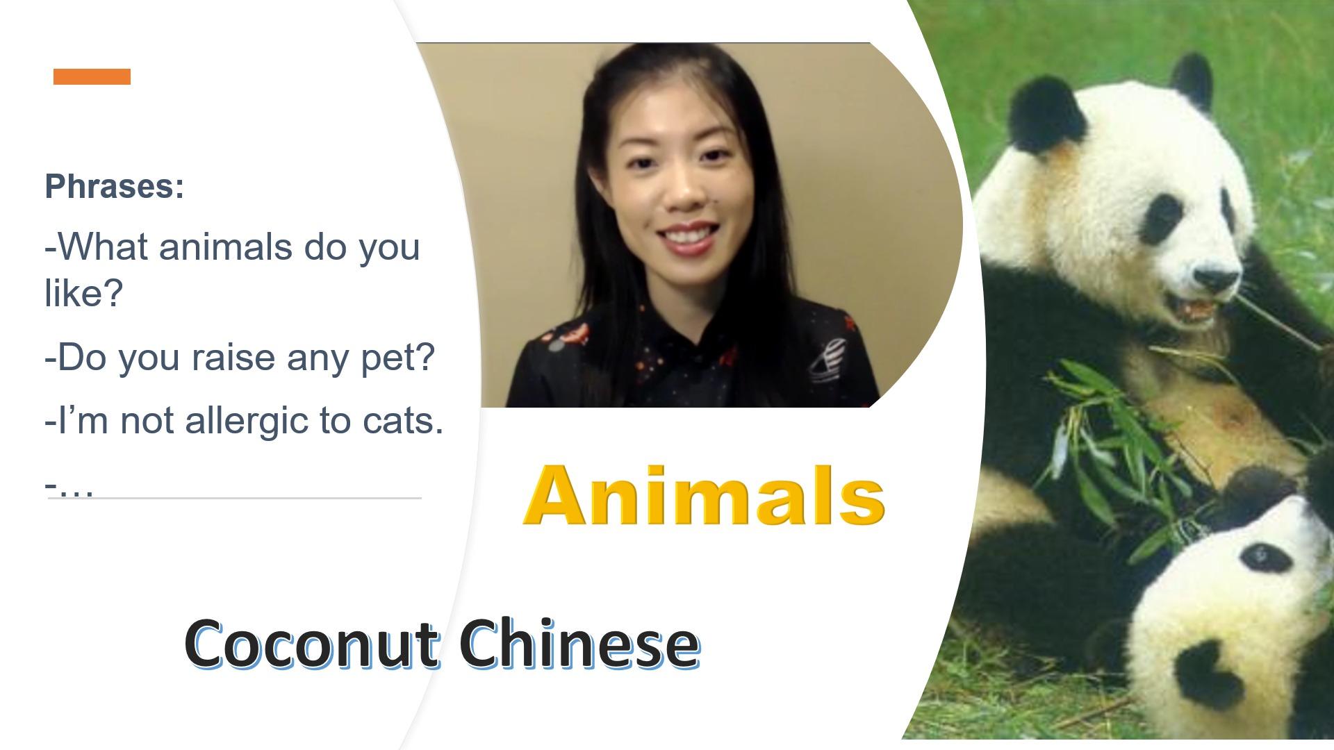 Animal Words in Mandarin