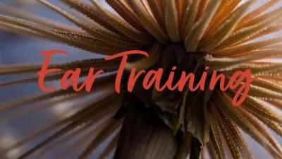 Ear Training Lesson