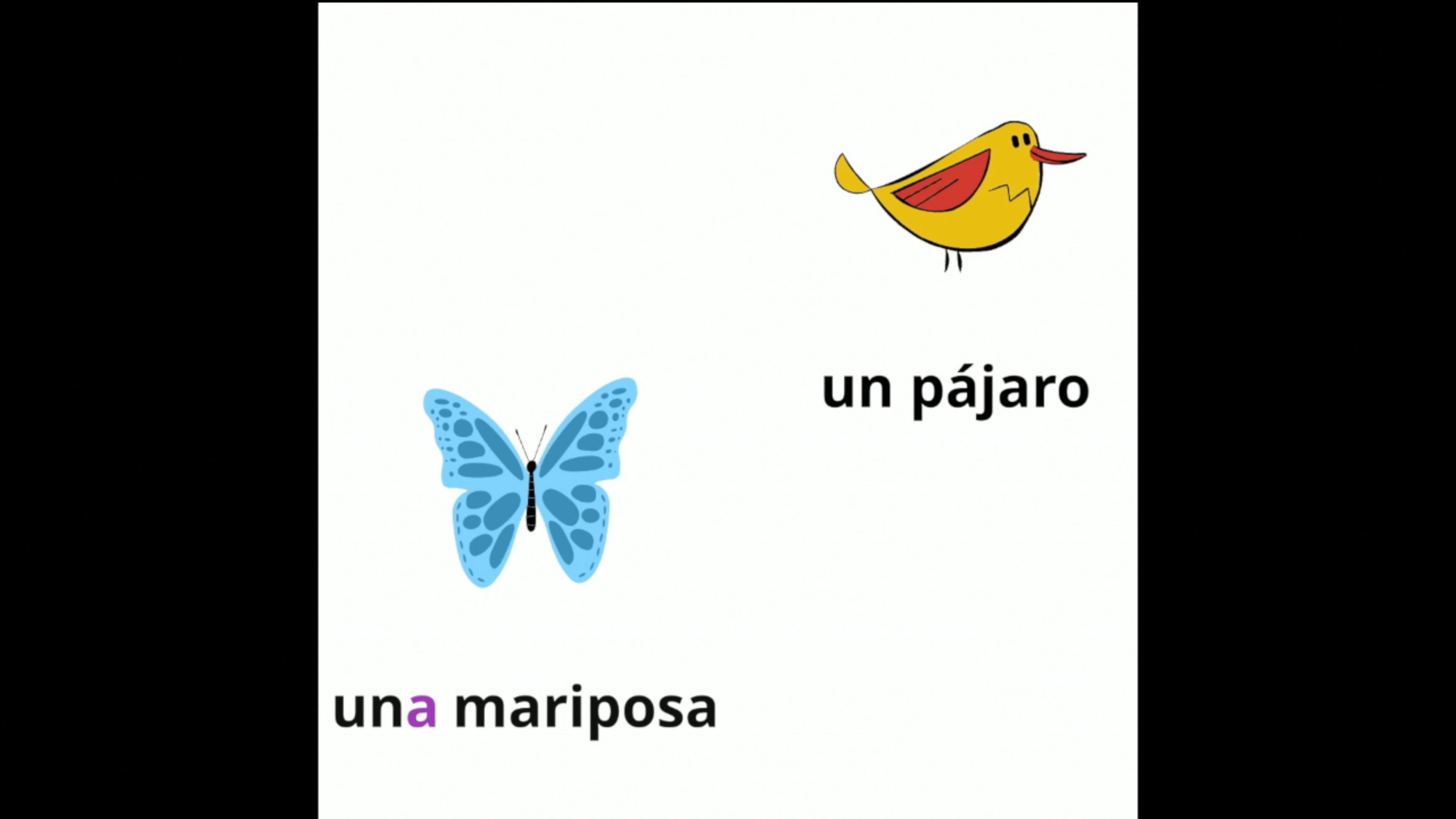 Spanish Nouns & Gender