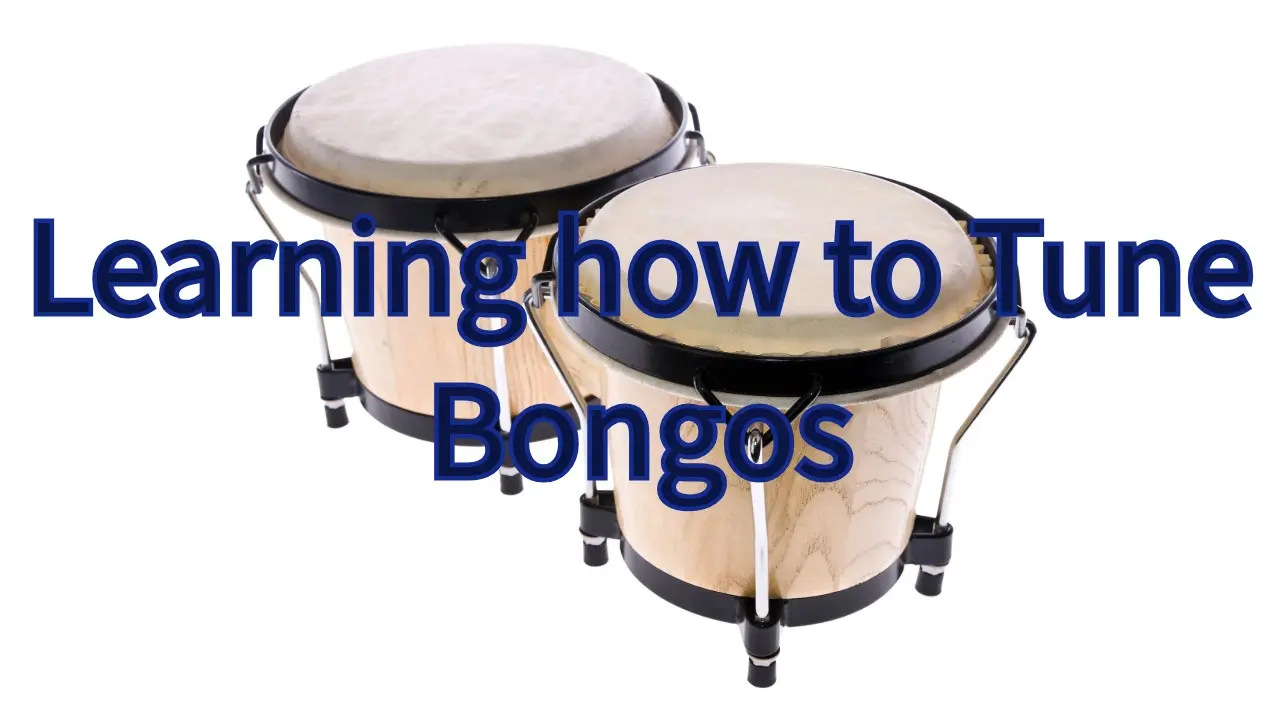 Learning how to tune bongos