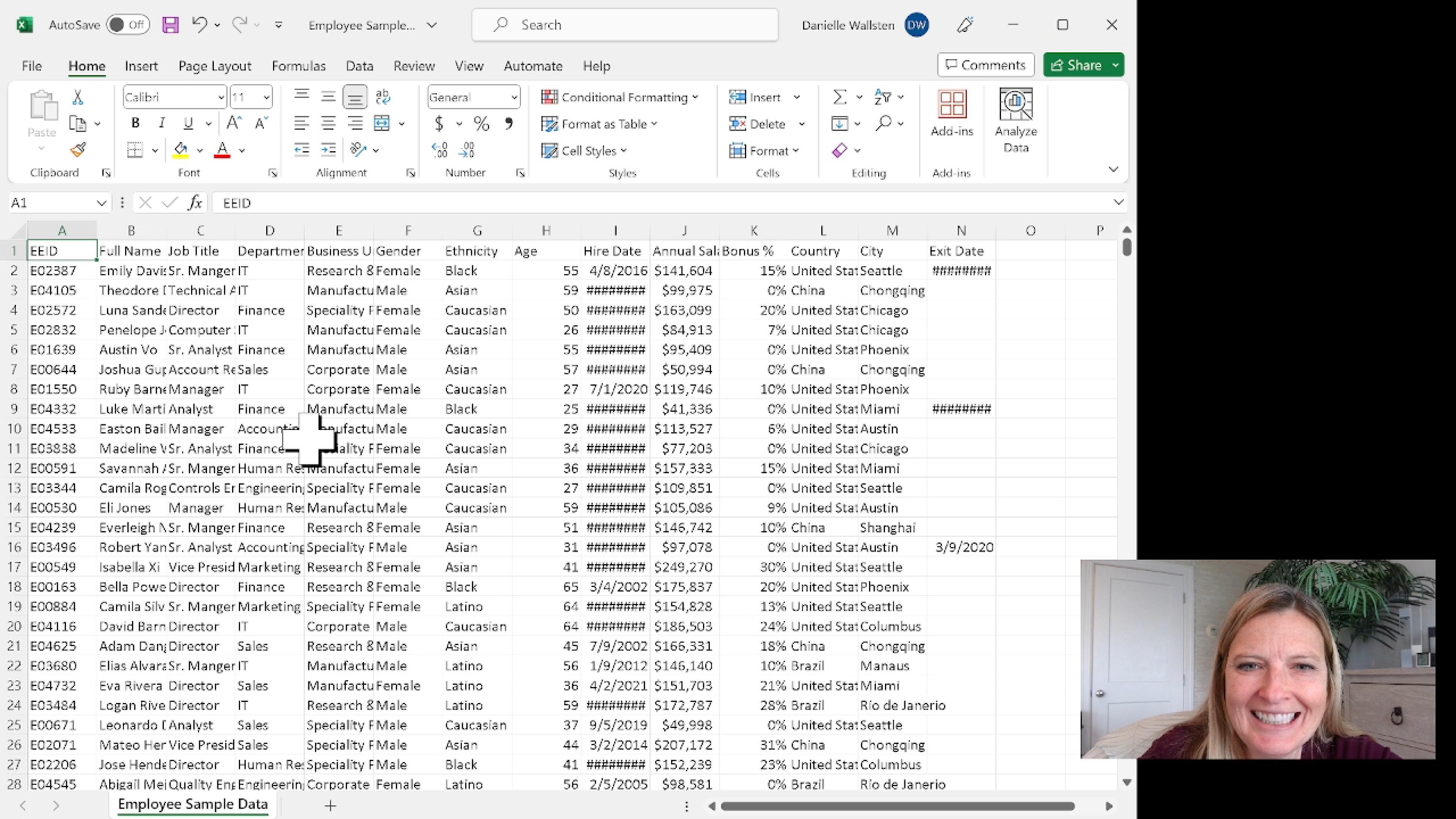 Microsoft Excel - Using Filters to Quickly Find Data