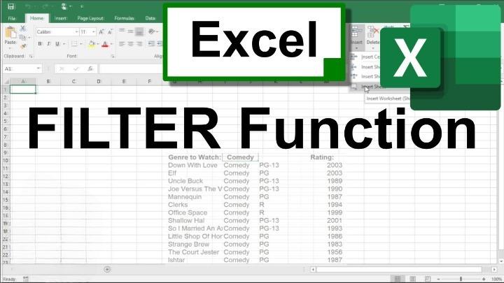 How to Use the Filter Function in Microsoft Excel