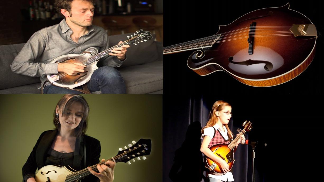 Difference between mandolins and Irish Bouzoukis