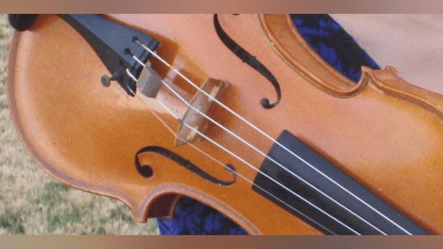 Get Ready for Your First Violin Lesson