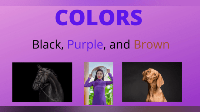 Colors Black, Purple, and Brown