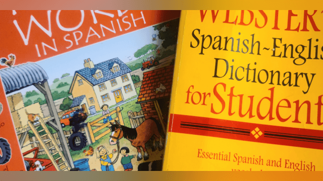 Using Bilingual Dictionaries 101