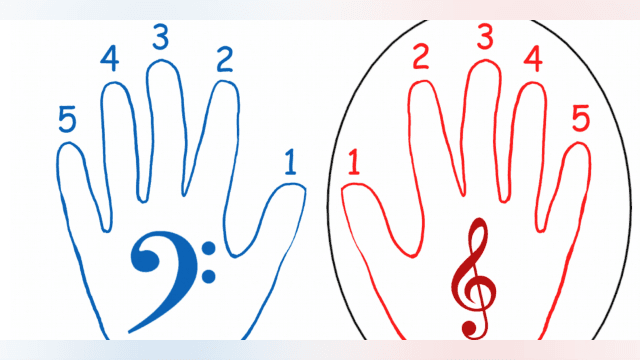 Beginner Piano Lesson 1, Piano Hands