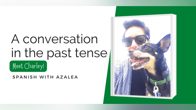 A Conversation in the Past Tense (Meet Charley!)