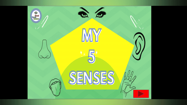 5 Senses- Explore and Learn