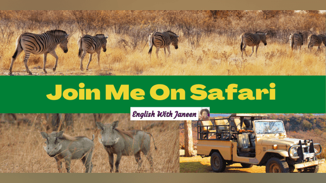 Learn English With A Real Travel Story- African Safari 