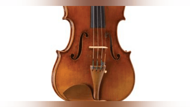 What is a Viola?