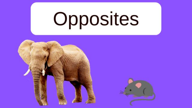 Opposites: An ESL Read Aloud Book and Flashcards