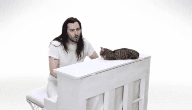Lil Bub Parties Hard in Andrew W.K. Music Video
