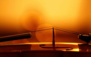 Close up of the bridge on a violin