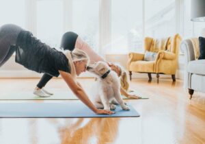Two women doing yoga as a dog licks one of their faces