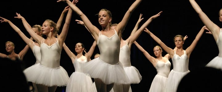 ballet dance skirt