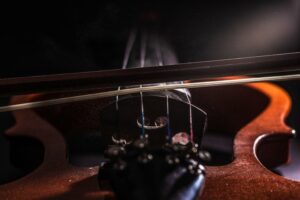 Bottom view of the strings on a bridge on violin