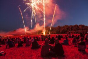 Groups of people sitting on a lawn watching a firework show