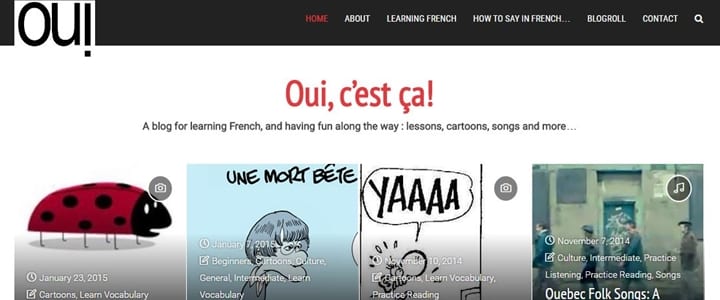 FrenchBlog cropped